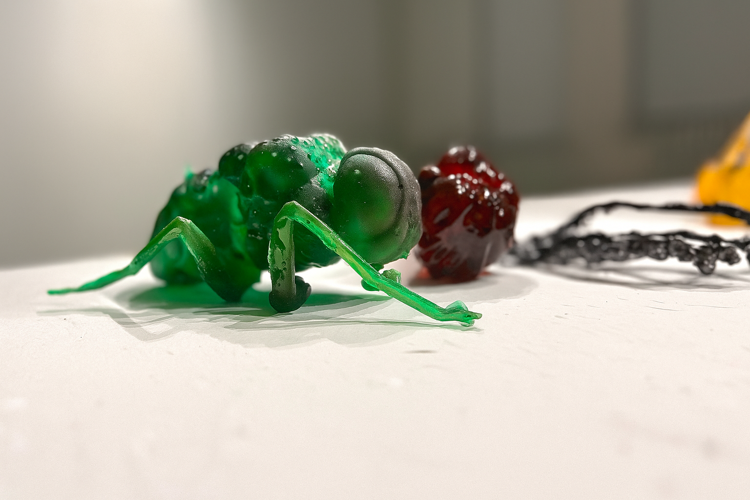 Gusho-run, Sugar, installation view 2