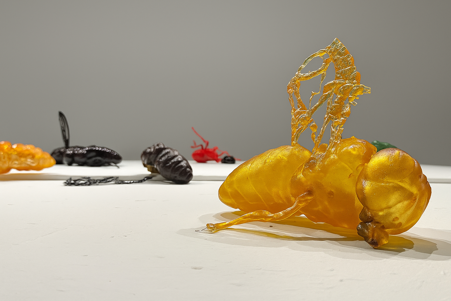 Gusho-run, Sugar, detail view 1